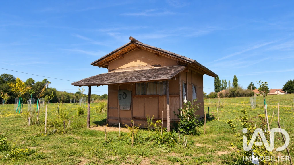 Photo 19
