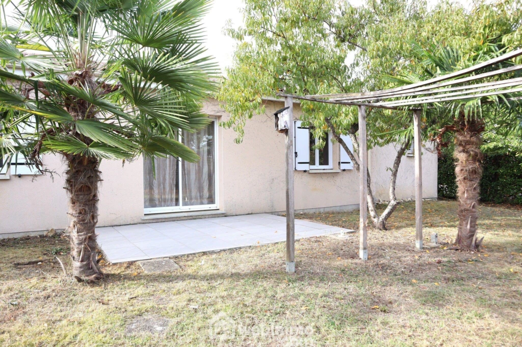 Photo 20