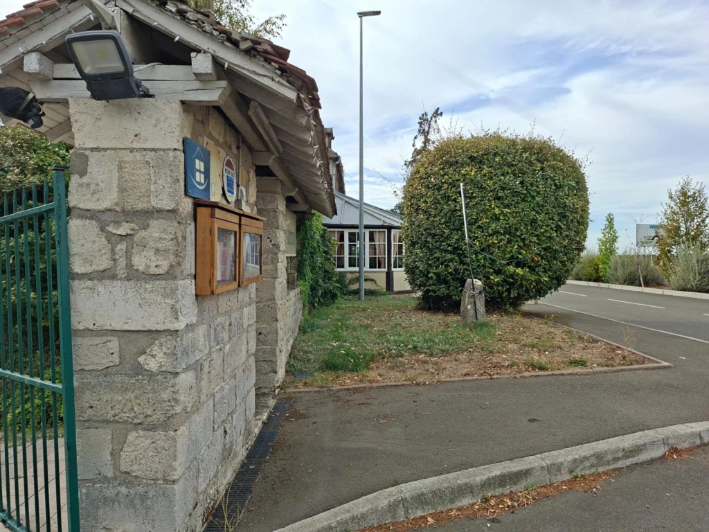 Photo 5
