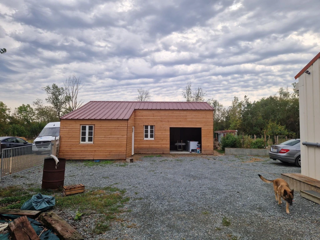 Photo 11