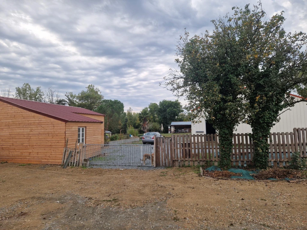Photo 13