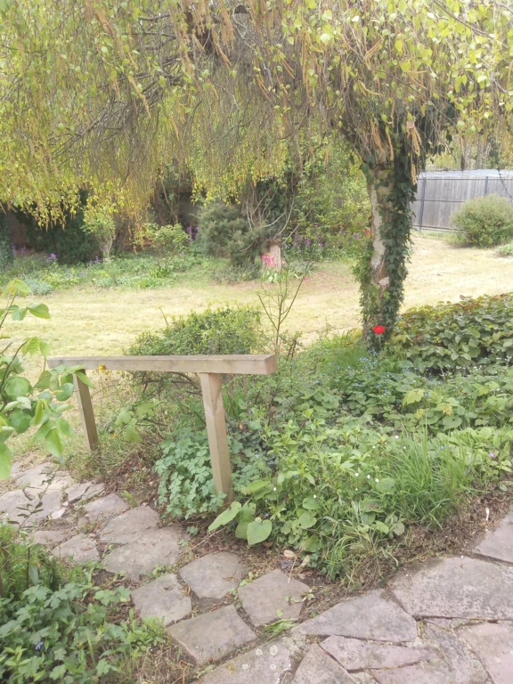 Photo 13