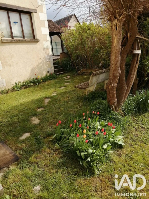 Photo 24
