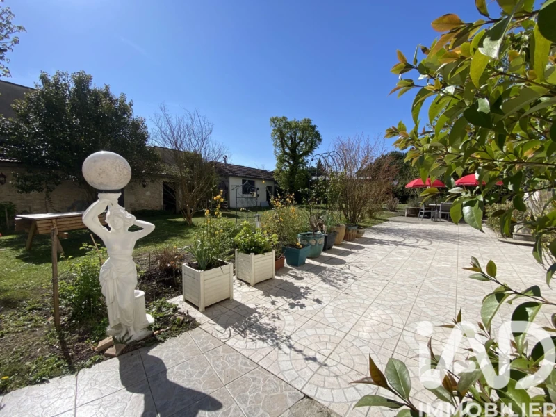 Photo 19