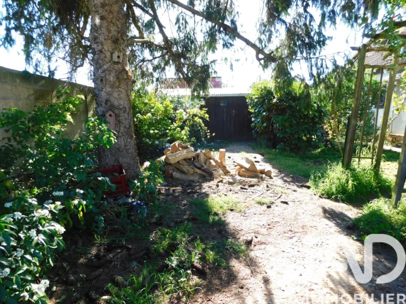 Photo 15