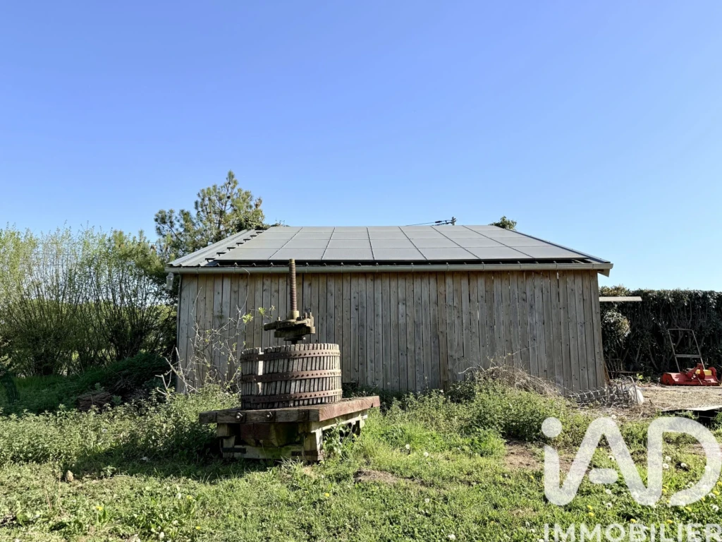 Photo 15