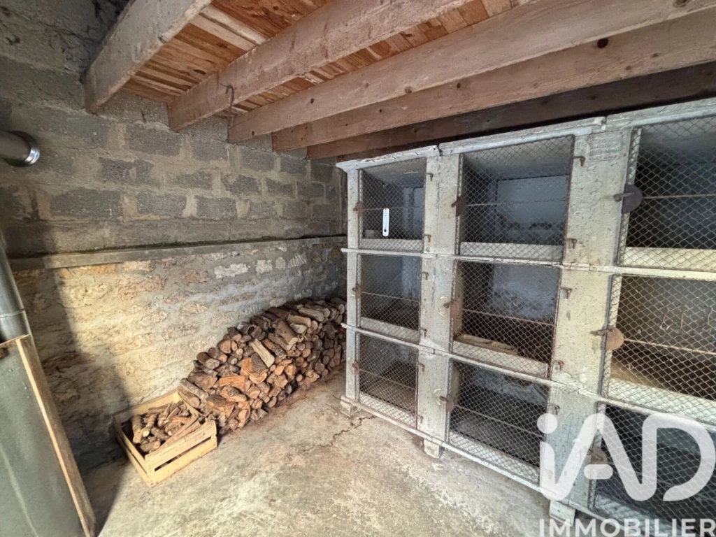Photo 19