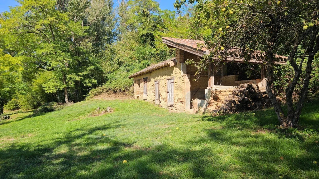 Photo 17