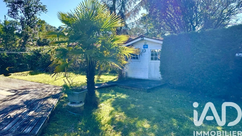 Photo 19