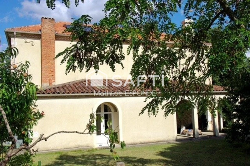 Photo 8