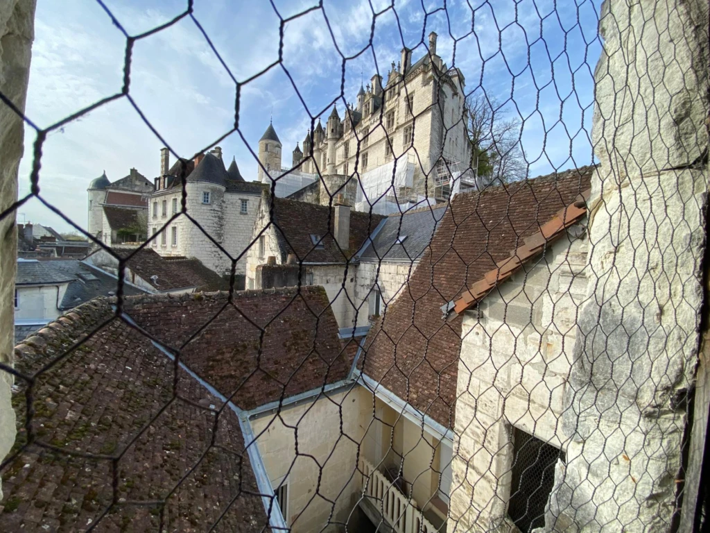 Photo 14