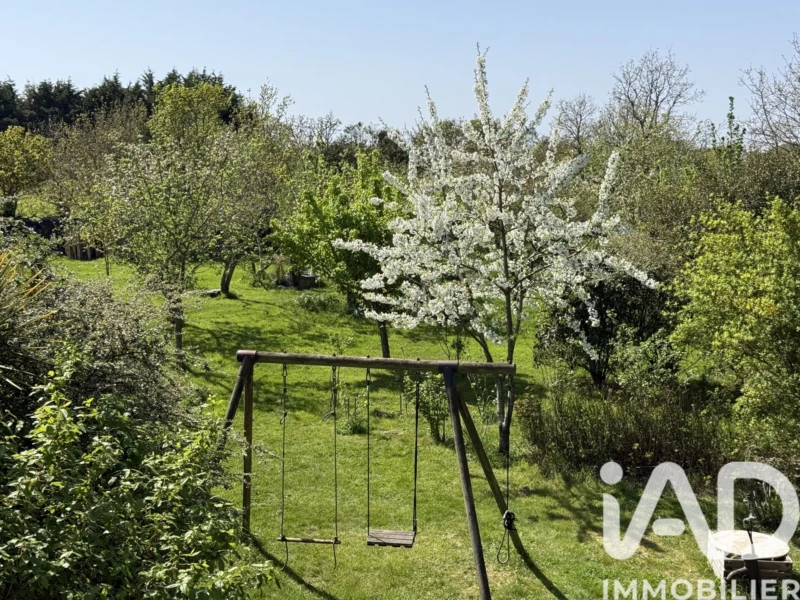 Photo 25