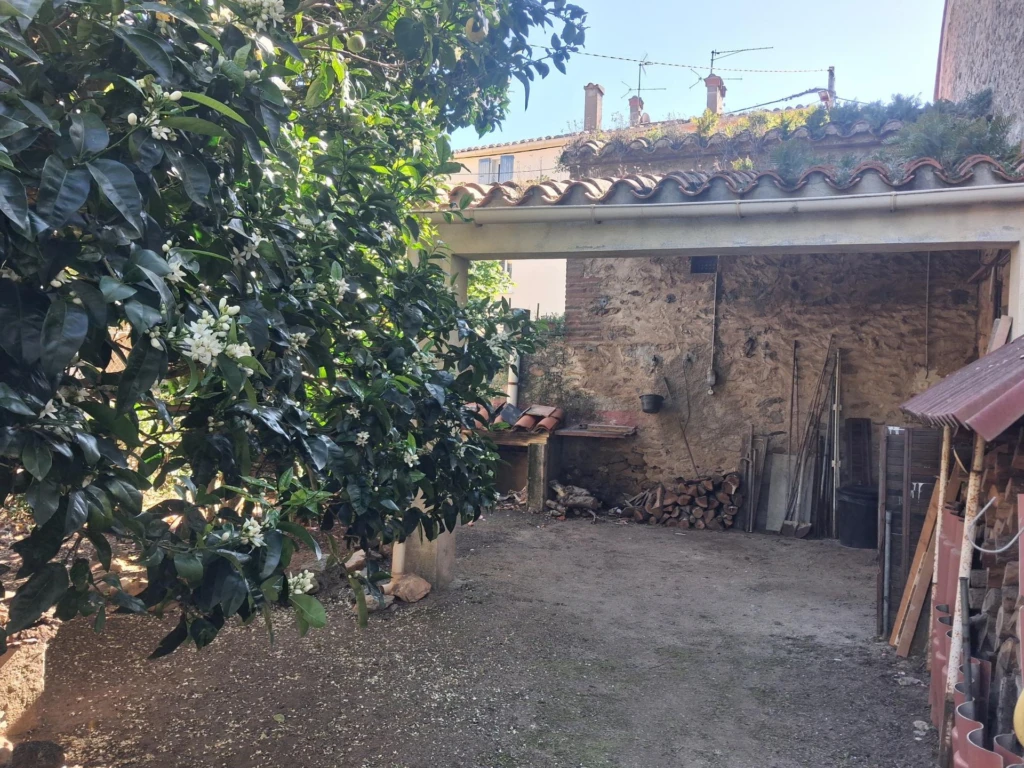 Photo 15