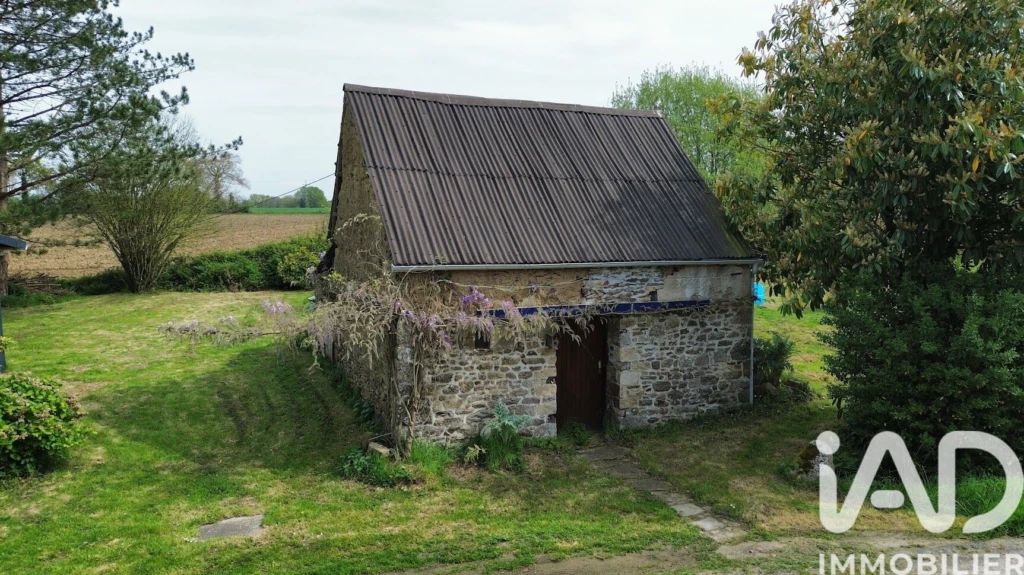 Photo 19