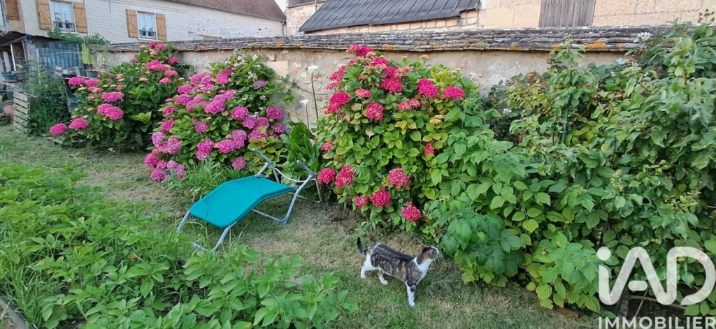 Photo 19