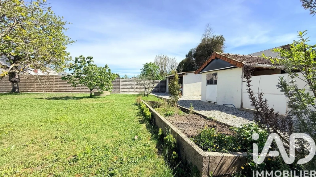 Photo 19