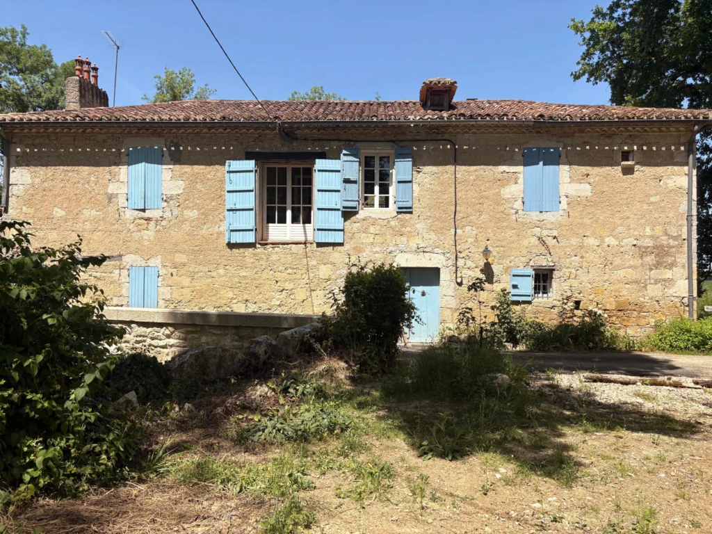 Photo 19