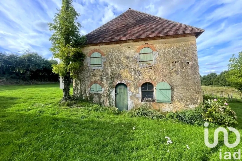 Photo 11