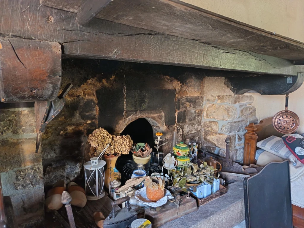 Photo 19