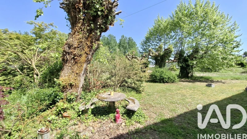 Photo 21