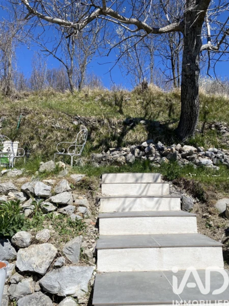 Photo 24