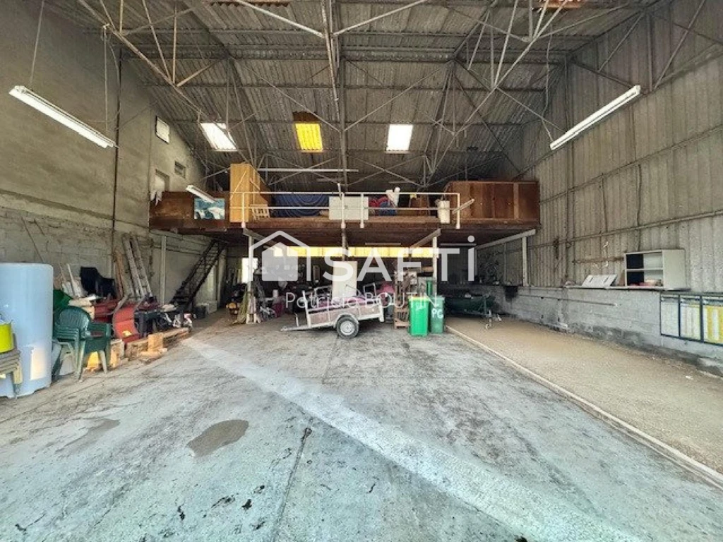 Photo 11