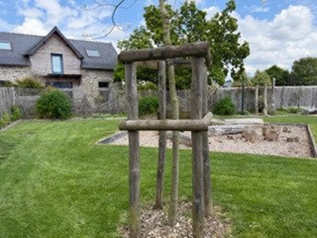 Photo 4
