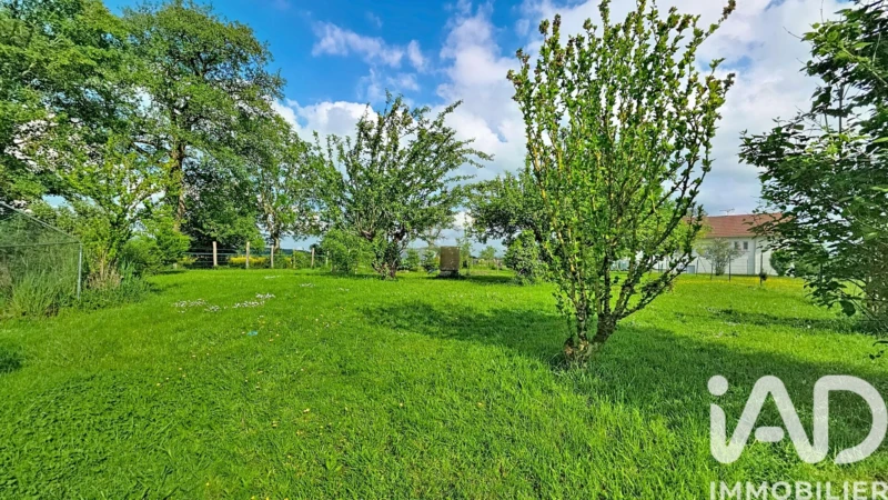 Photo 22