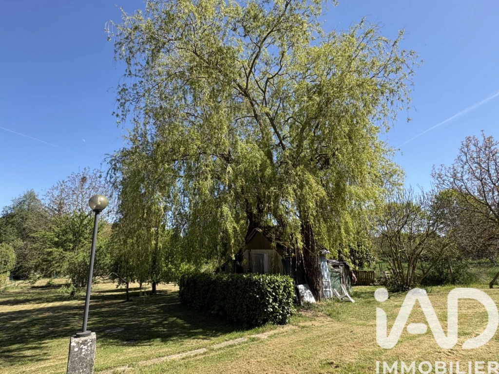 Photo 22