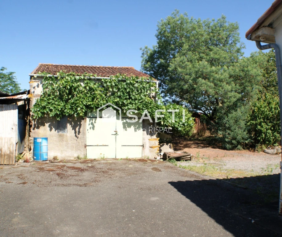 Photo 15