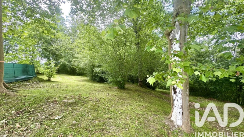 Photo 26