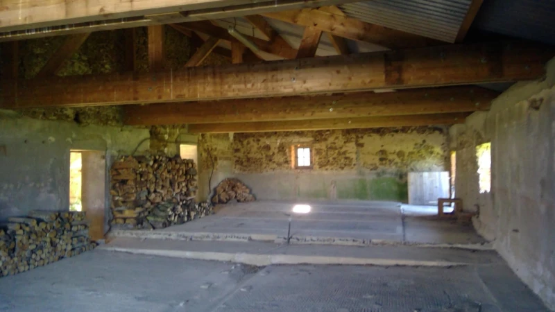 Photo 4