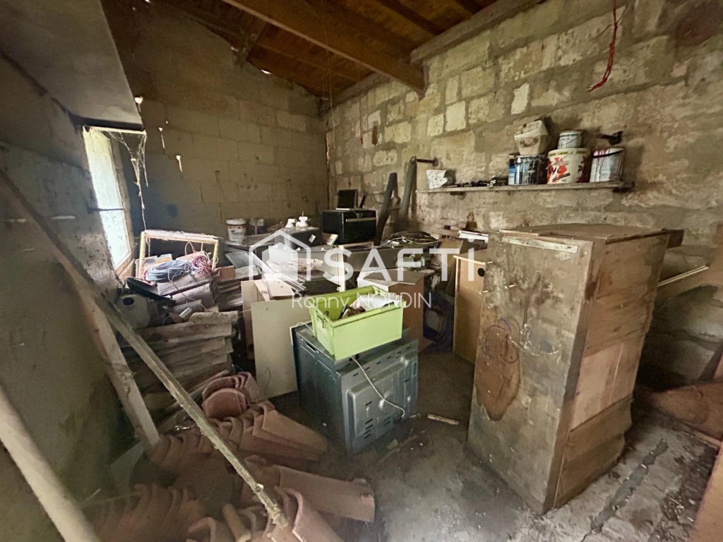 Photo 11