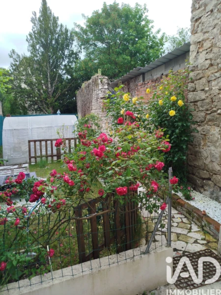 Photo 25