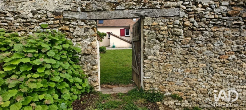 Photo 19