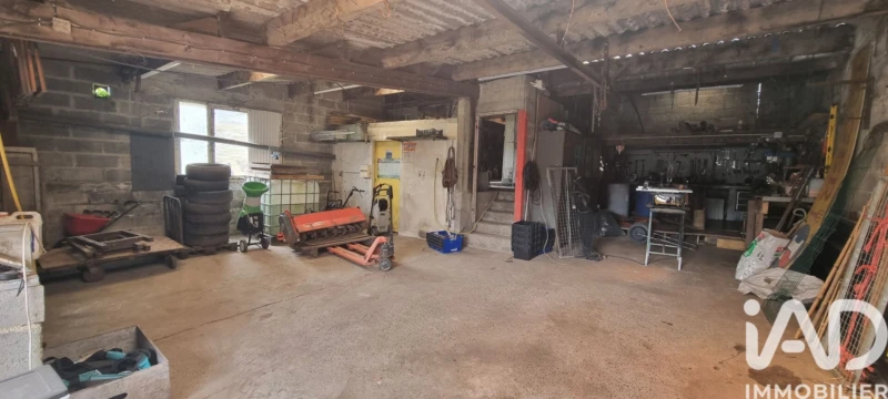 Photo 19