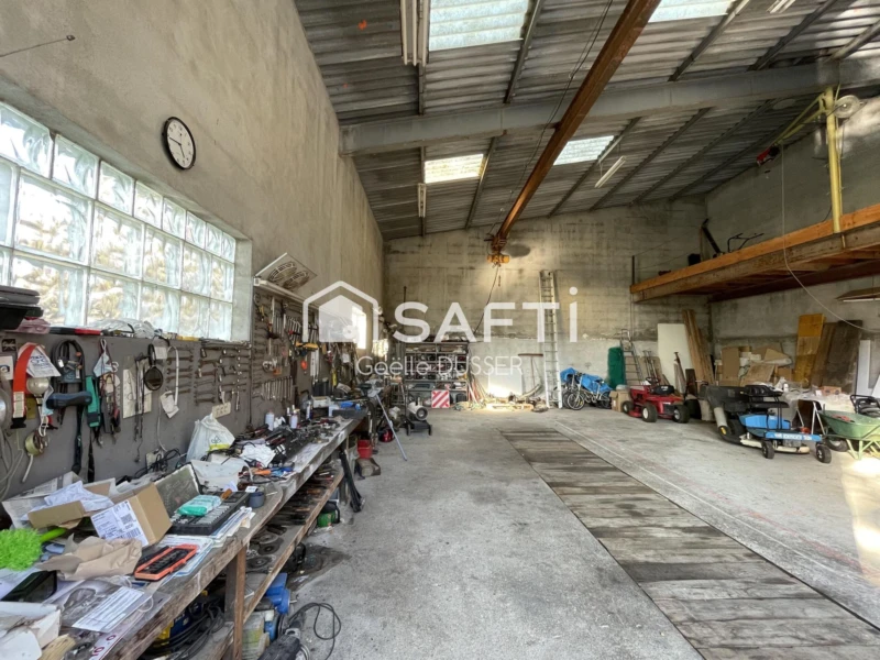Photo 11
