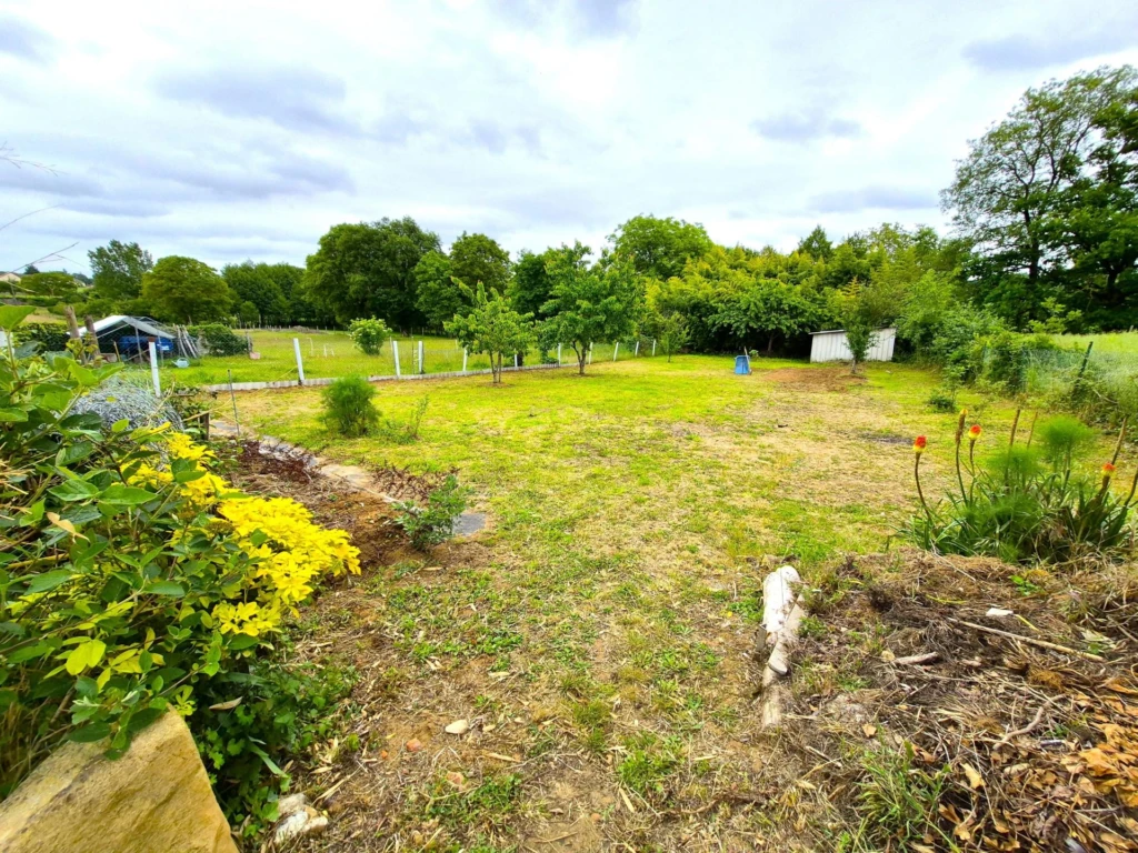 Photo 19