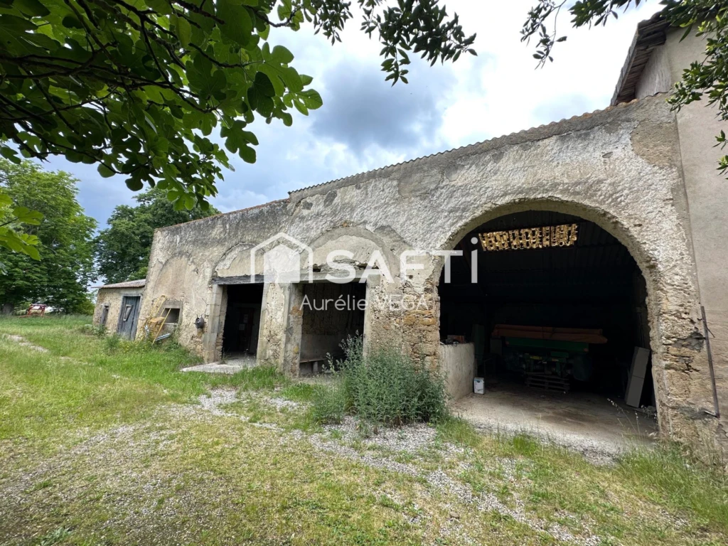 Photo 13