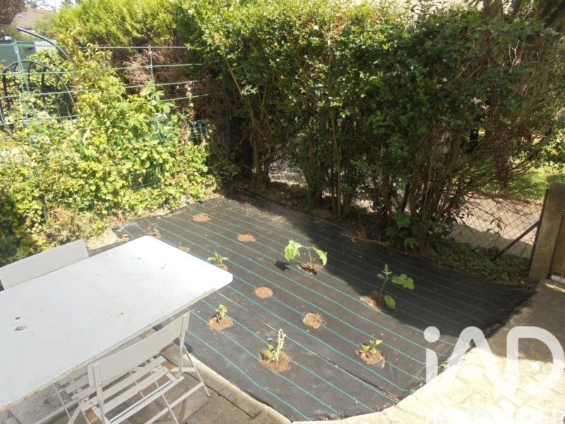 Photo 15
