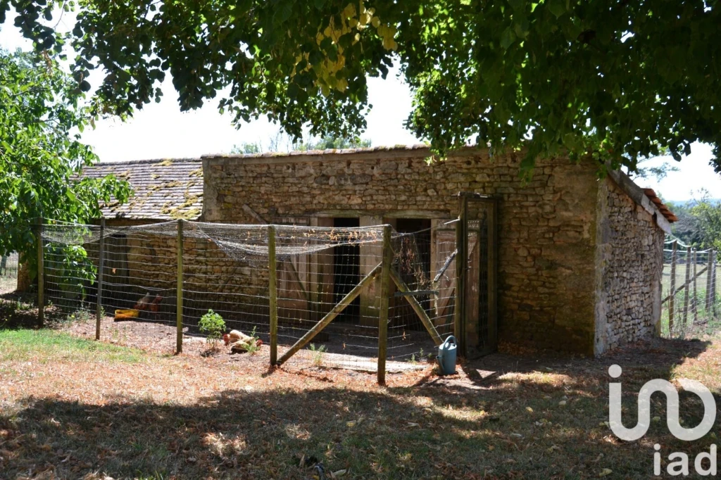 Photo 20