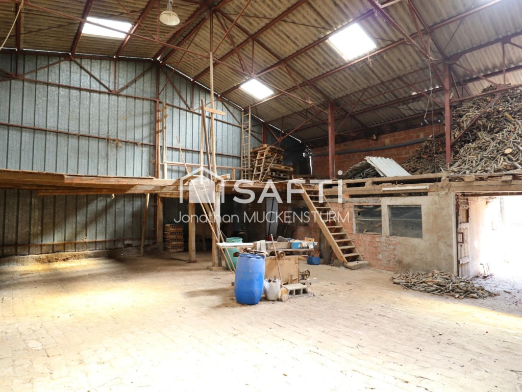 Photo 17