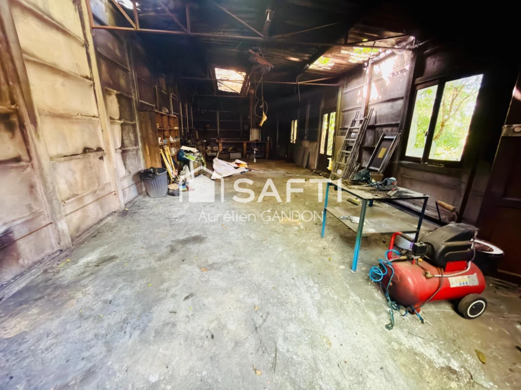 Photo 11