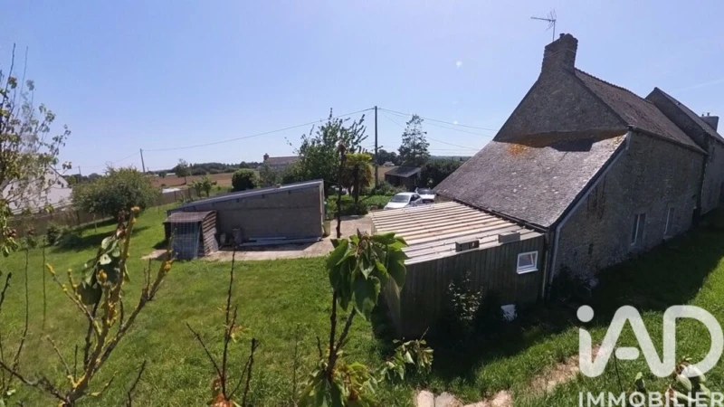 Photo 23
