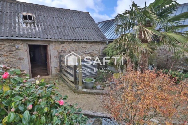 Photo 13