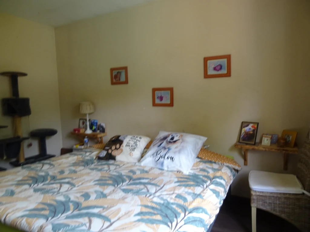 Photo 4
