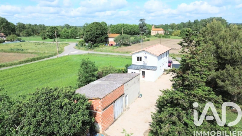 Photo 12