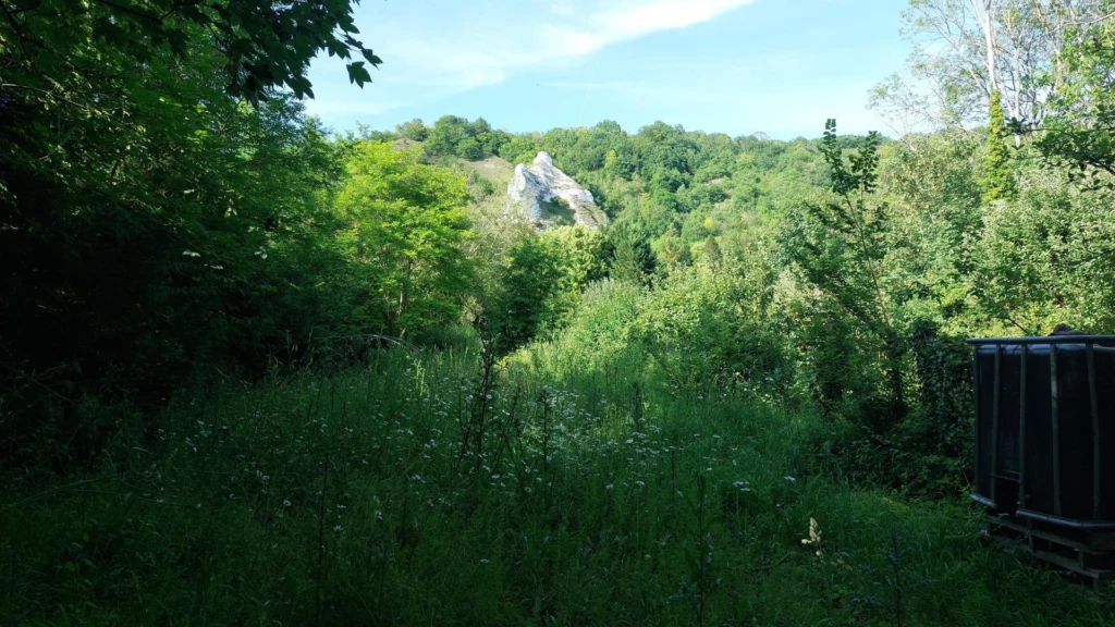 Photo 15