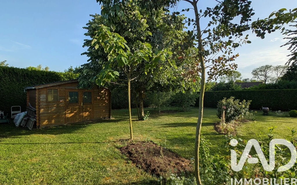 Photo 19