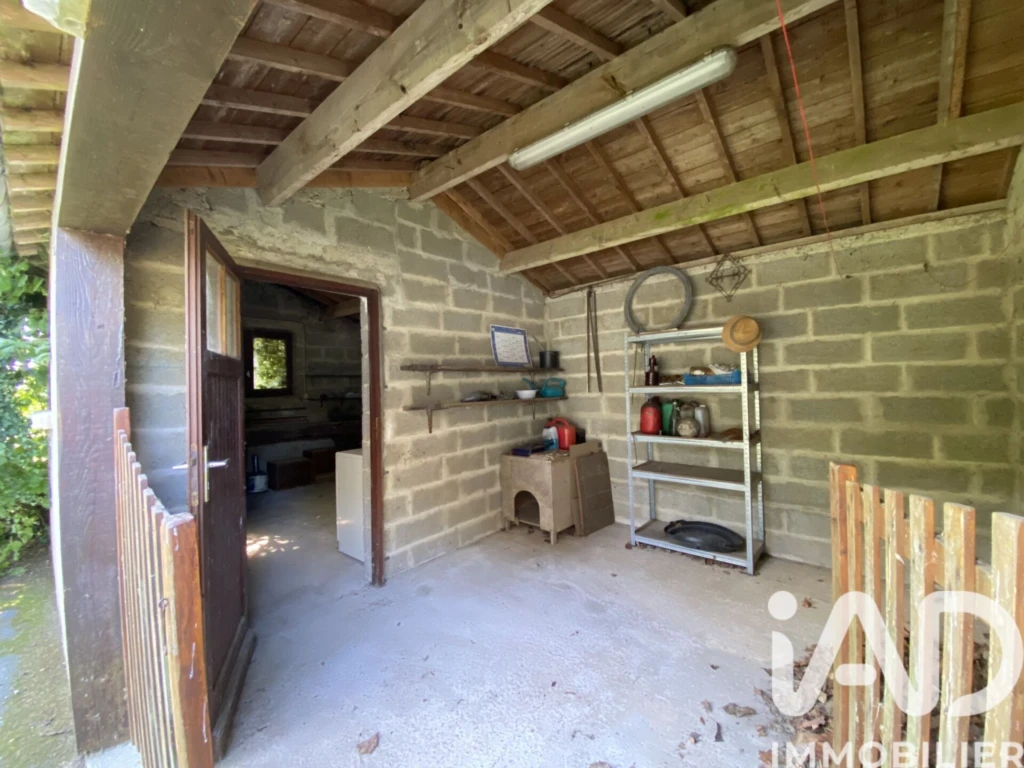 Photo 21